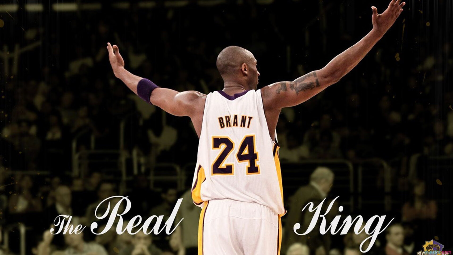 开云平台-骑士战术压制浙江队，詹姆斯完成里程碑