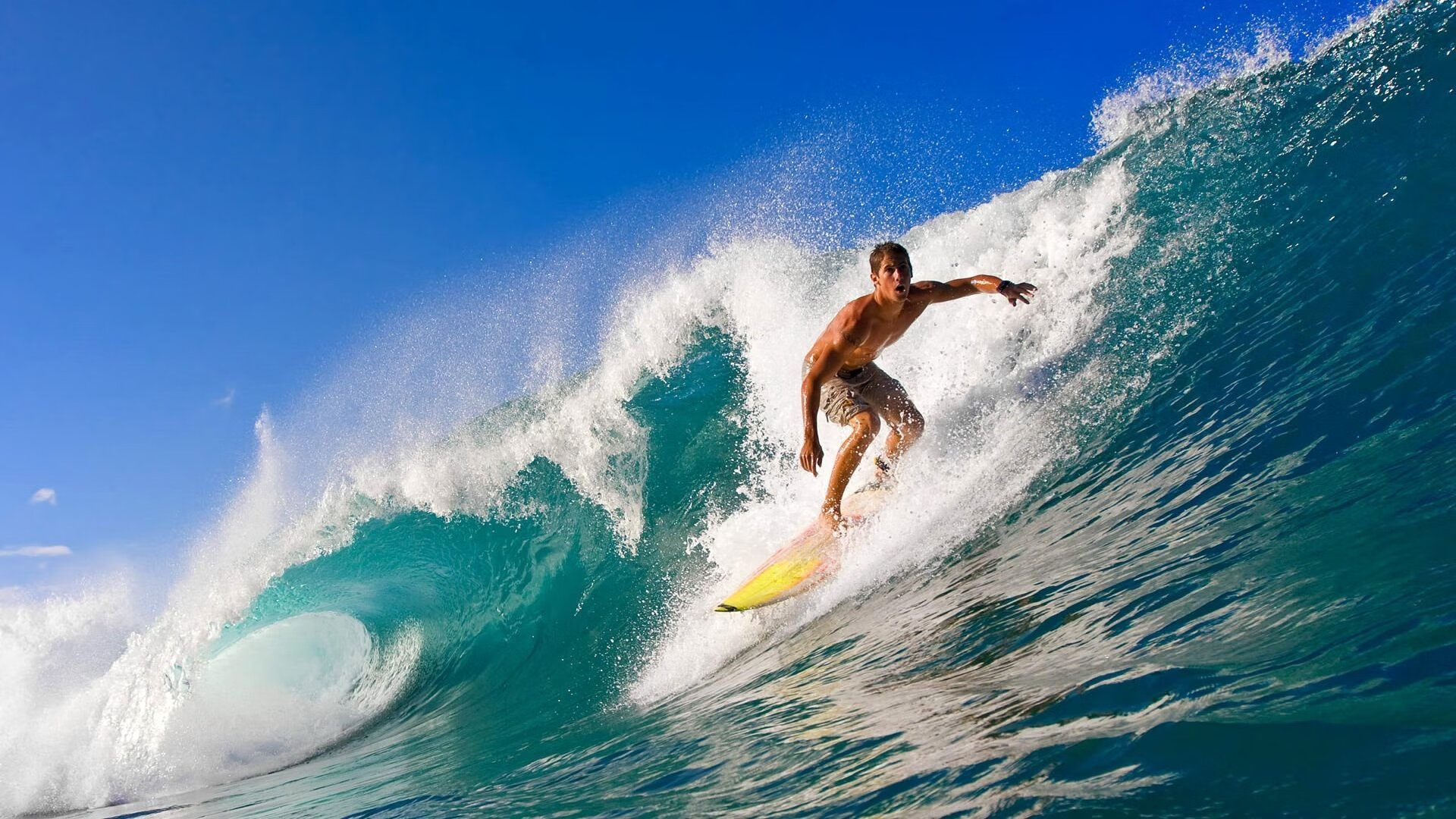 凤凰涅槃,王权更迭,太阳与国王的抢七史诗